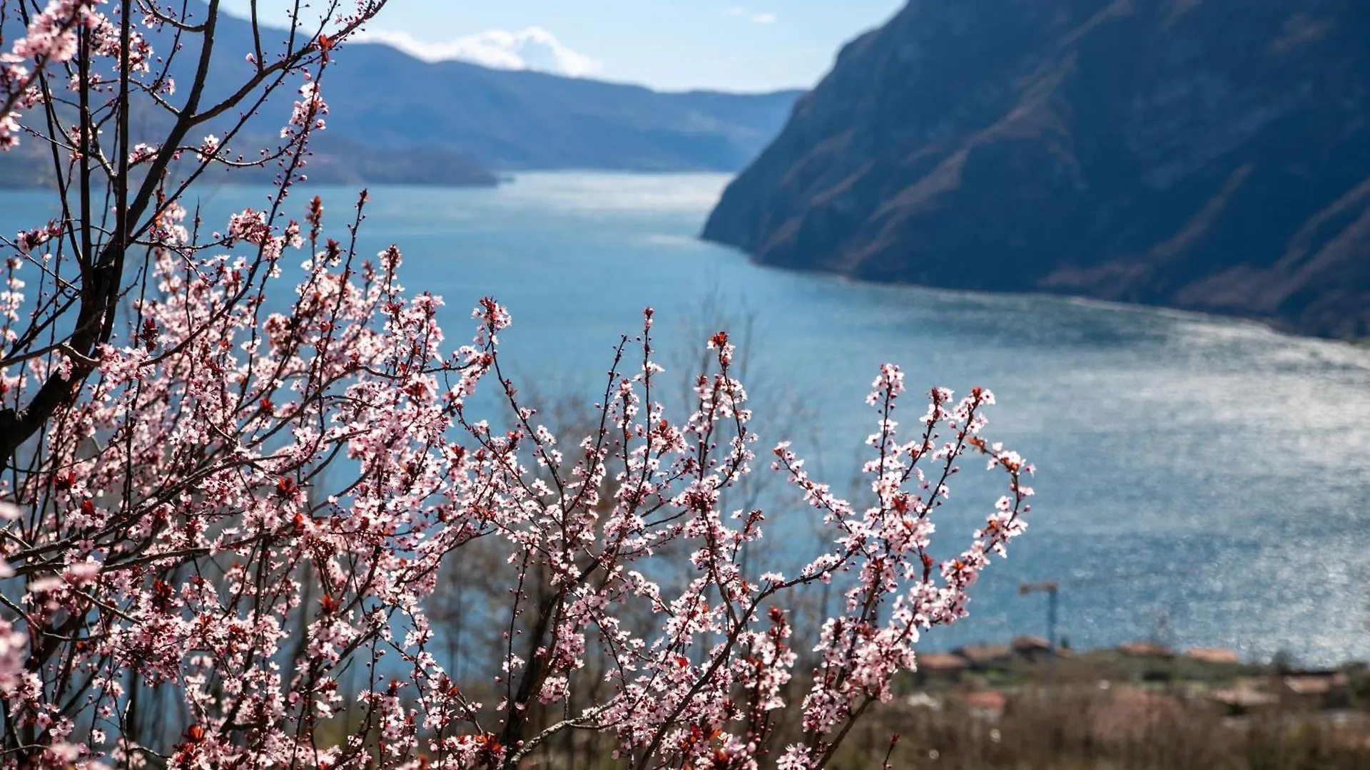 Apartament Iseolakerental - La Dolce Vista Riva di Solto